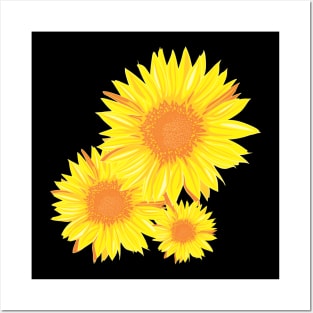 sun flower Posters and Art